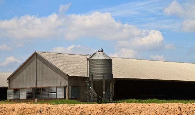 Agricultural Roof Sheeting